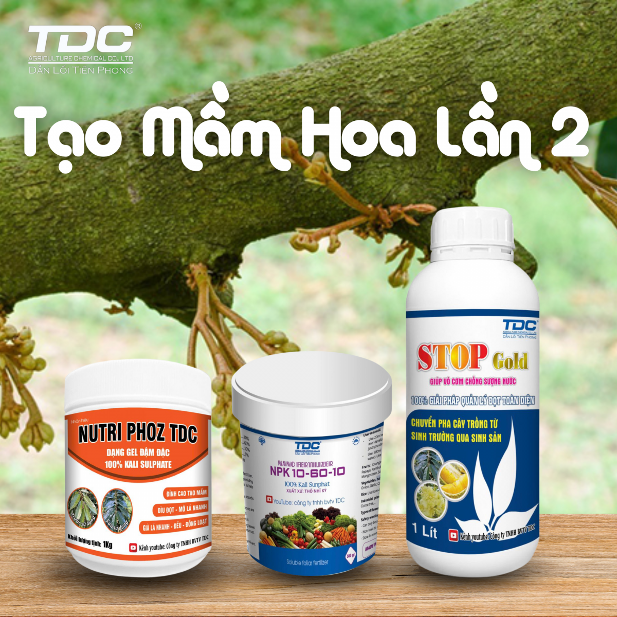 Bộ sản phẩm tạo mầm hoa lần 2