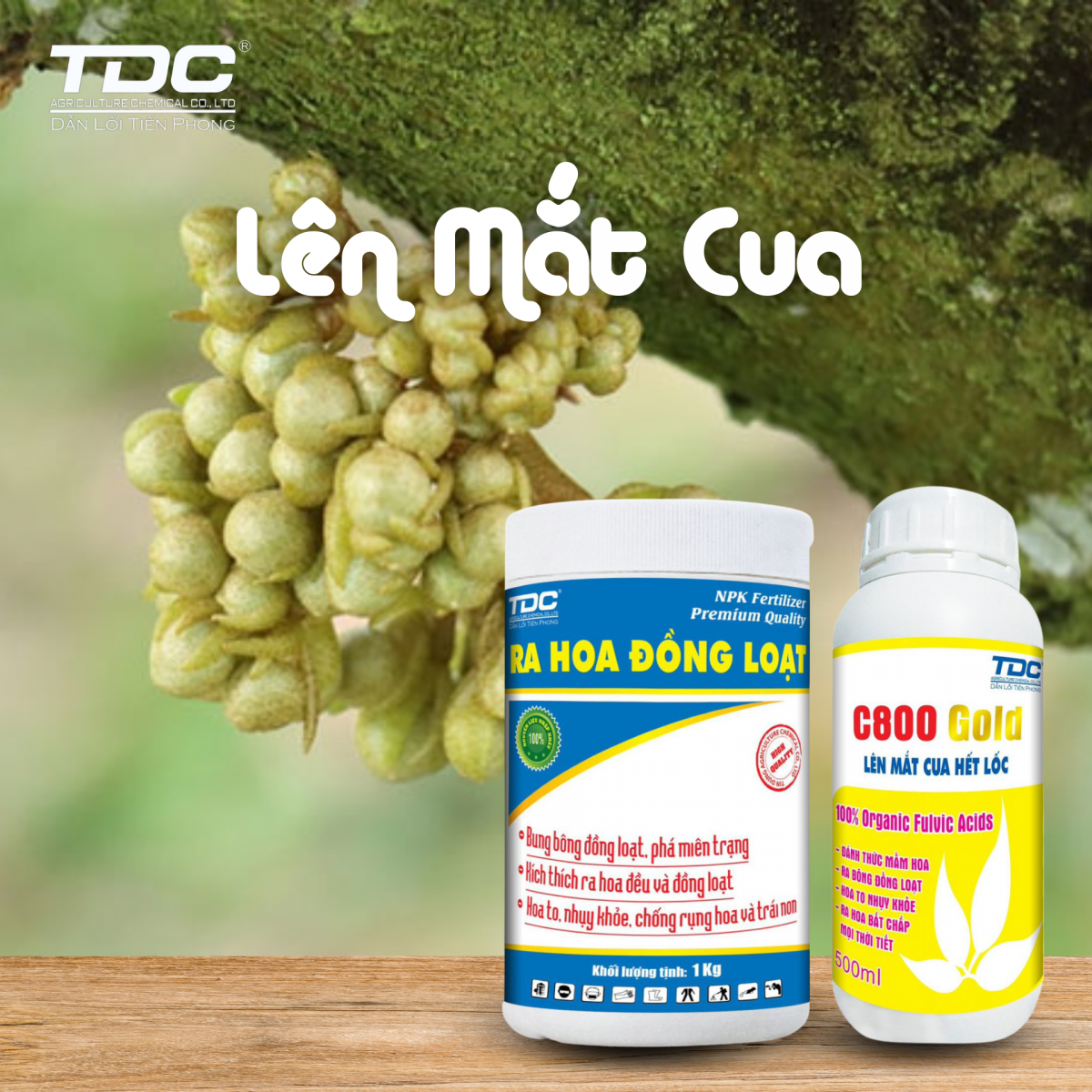 Bộ sản phẩm lên mắt cua