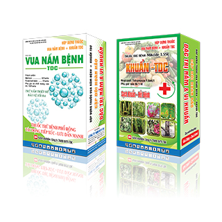 BỘ ĐÔI NẤM KHUẨN TDC