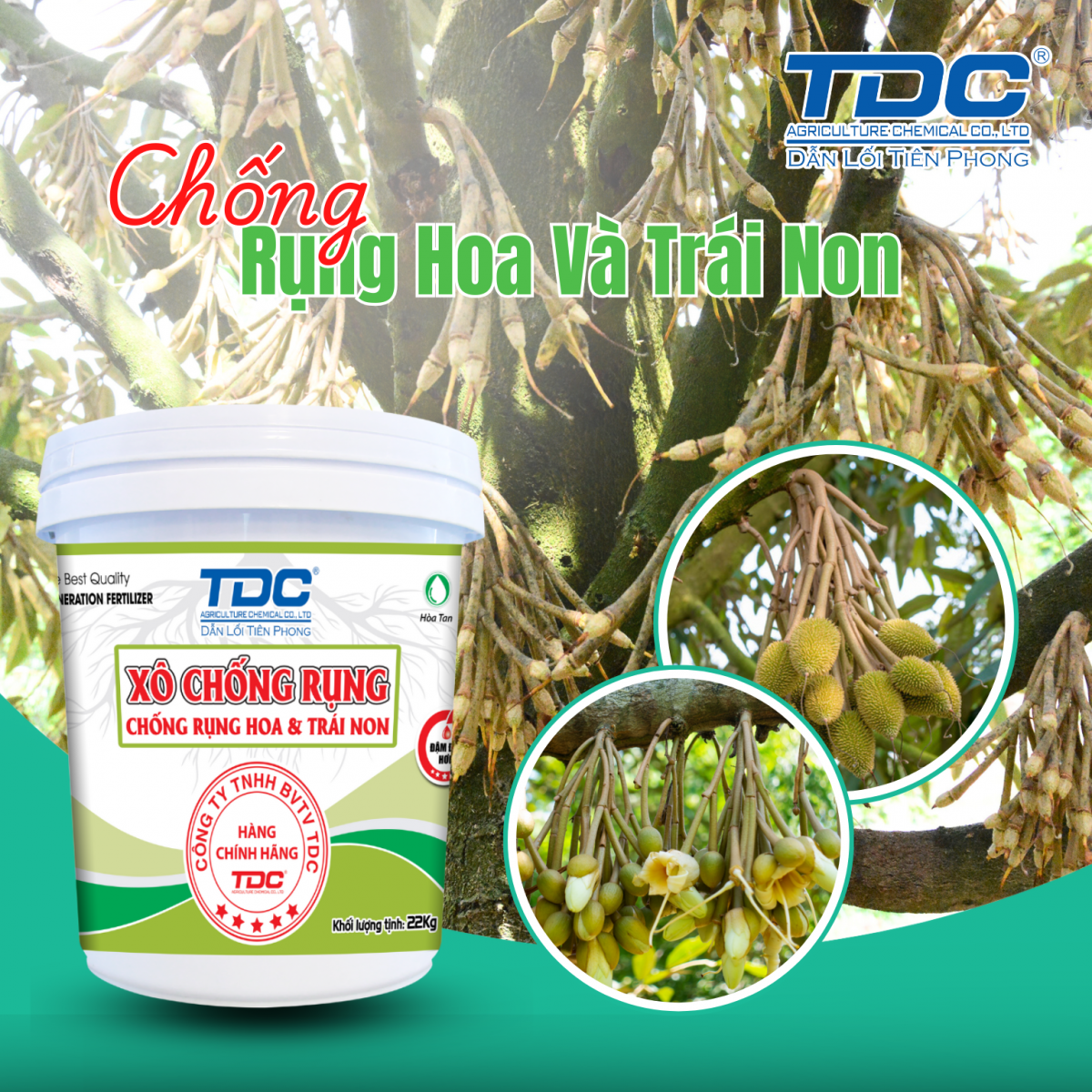 XÔ CHỐNG RỤNG TDC