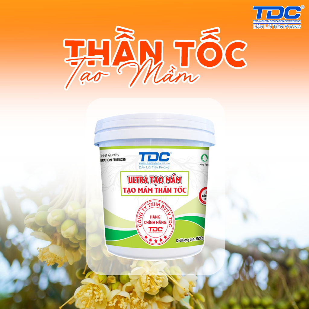 xô ultra tạo mầm